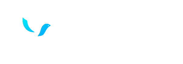 NewSky88